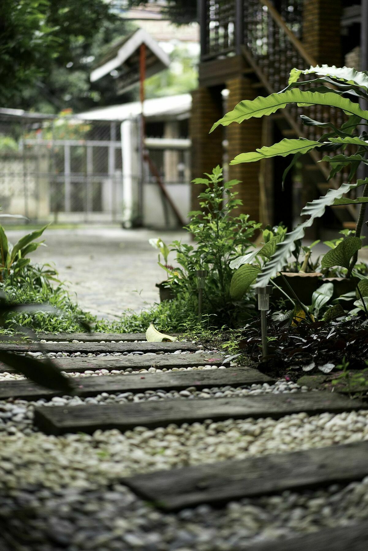 Sarah Guest House Chiang Mai Extérieur photo